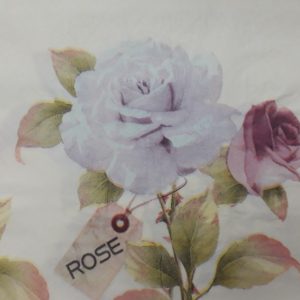 DSR0011
