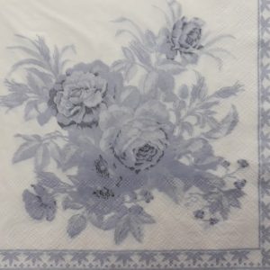 DSR0018