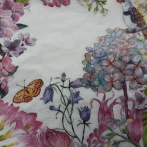 DSF0039