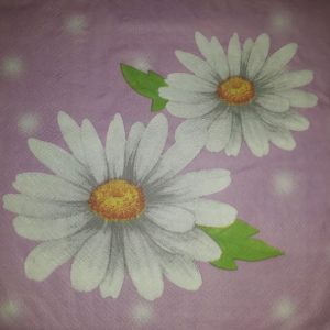 DSF0043