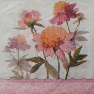 DSF0048