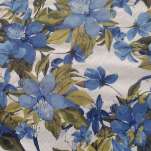 DSF0056