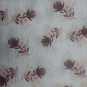 DSF0058