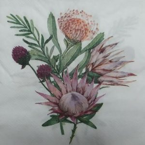 DSF0059