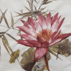 DSF0061