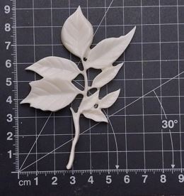 FLS0050